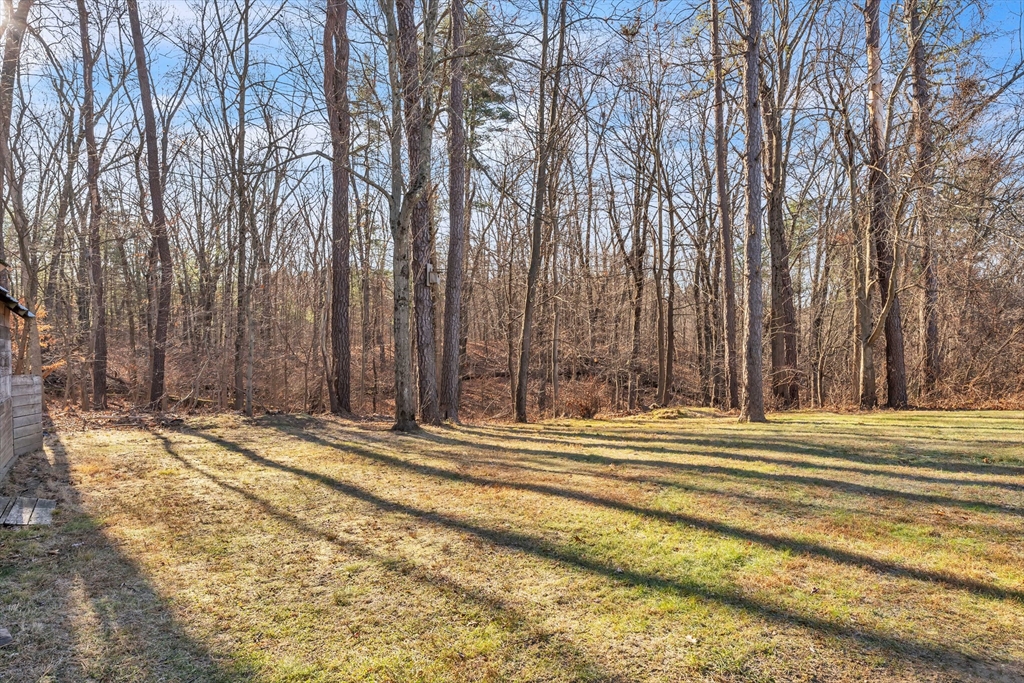 45 Gail Street Springfield, MA 01108 - Photo 28 of 29