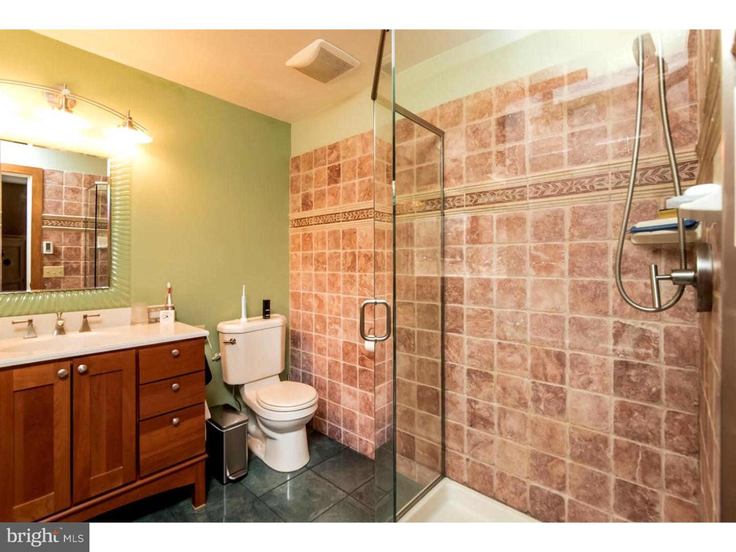 6173 Greenhill Road New Hope, PA 18938 - Photo 12 of 22 Master Bathroom