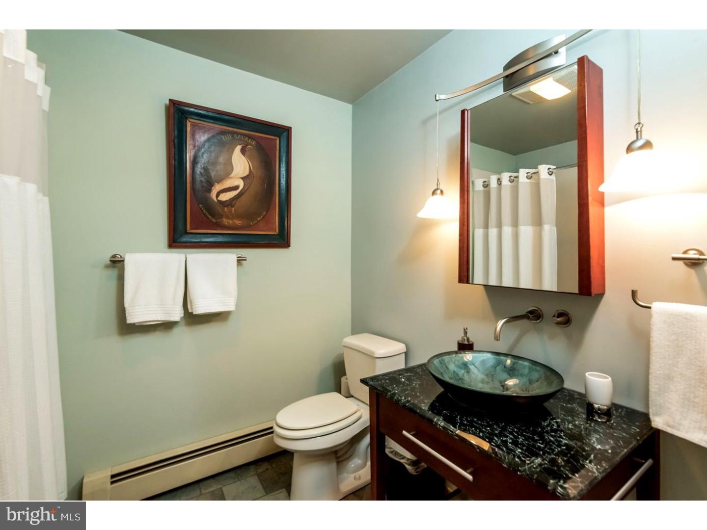 6173 Greenhill Road New Hope, PA 18938 - Photo 14 of 22 Gallery Image 14