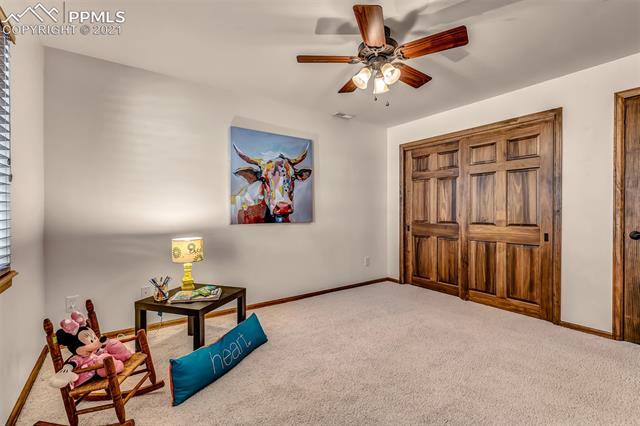 4303 Mallow Road Colorado Springs, CO 80907 - Photo 40 of 49