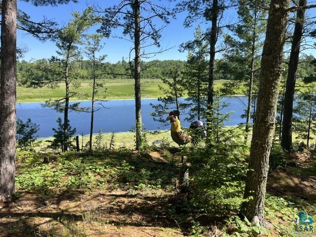 7168 Gold Mine Road Orr, MN 55771 - Photo 6 of 40