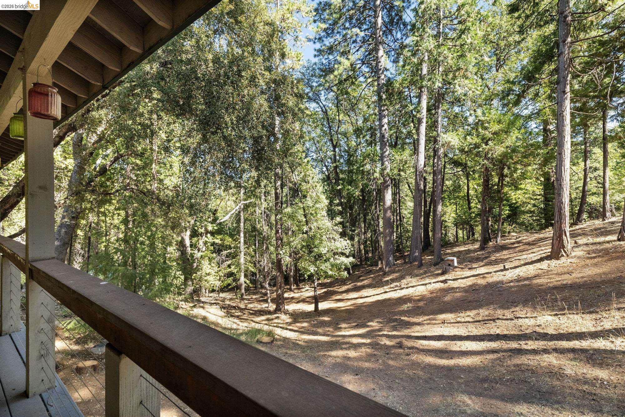 24669 Center Camp Road Twain Harte, CA 95383 - Photo 31 of 33 a view of a yard with large tree