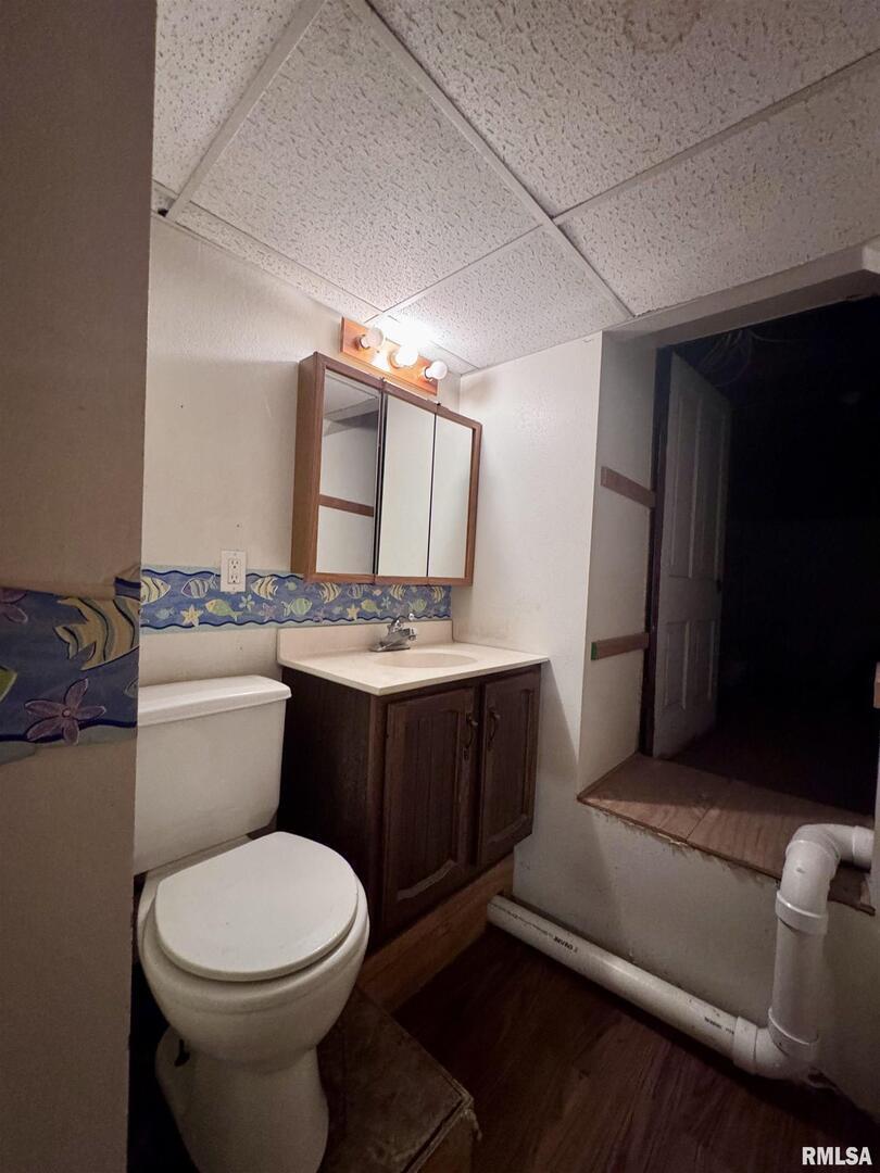 916 7th Street Fulton, IL 61252 - Photo 24 of 32 a bathroom with a toilet a sink and mirror