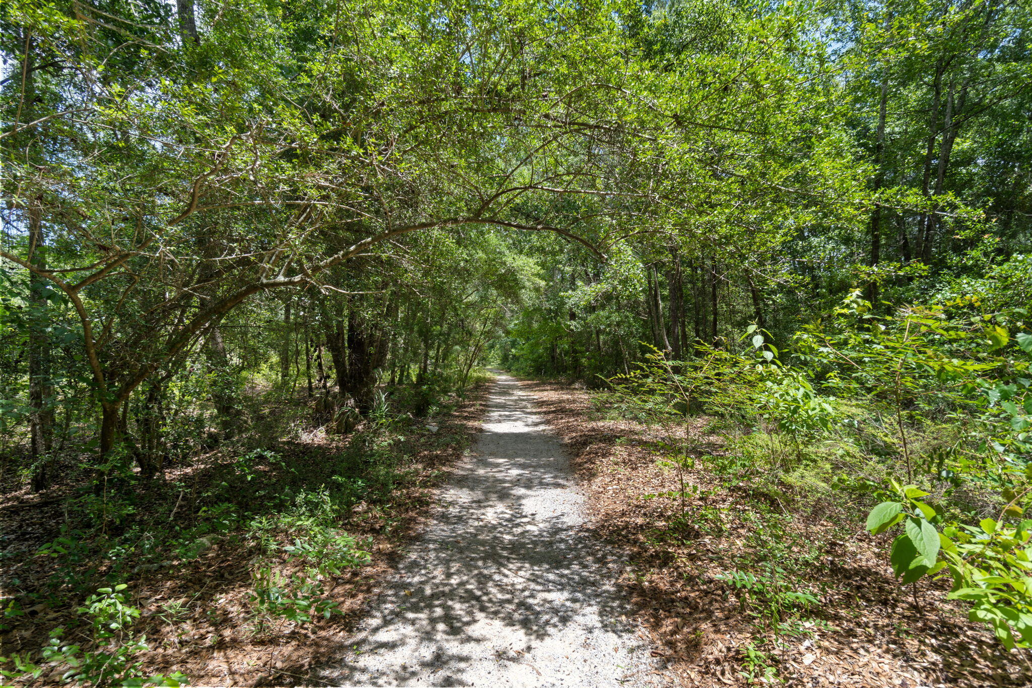 370 Mango Lane Freeport, FL 32439 - Photo 64 of 108 65-web-or-mls-FinalAmenity-2
