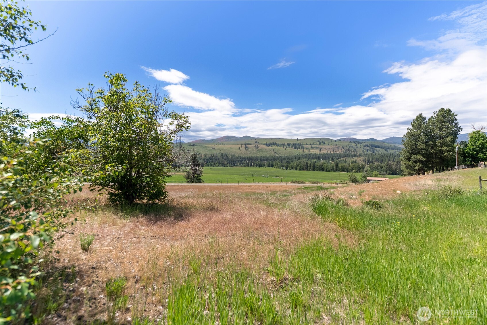 567 Twisp-Winthrop Eastside Road Winthrop, WA 98862 - Photo 30 of 33