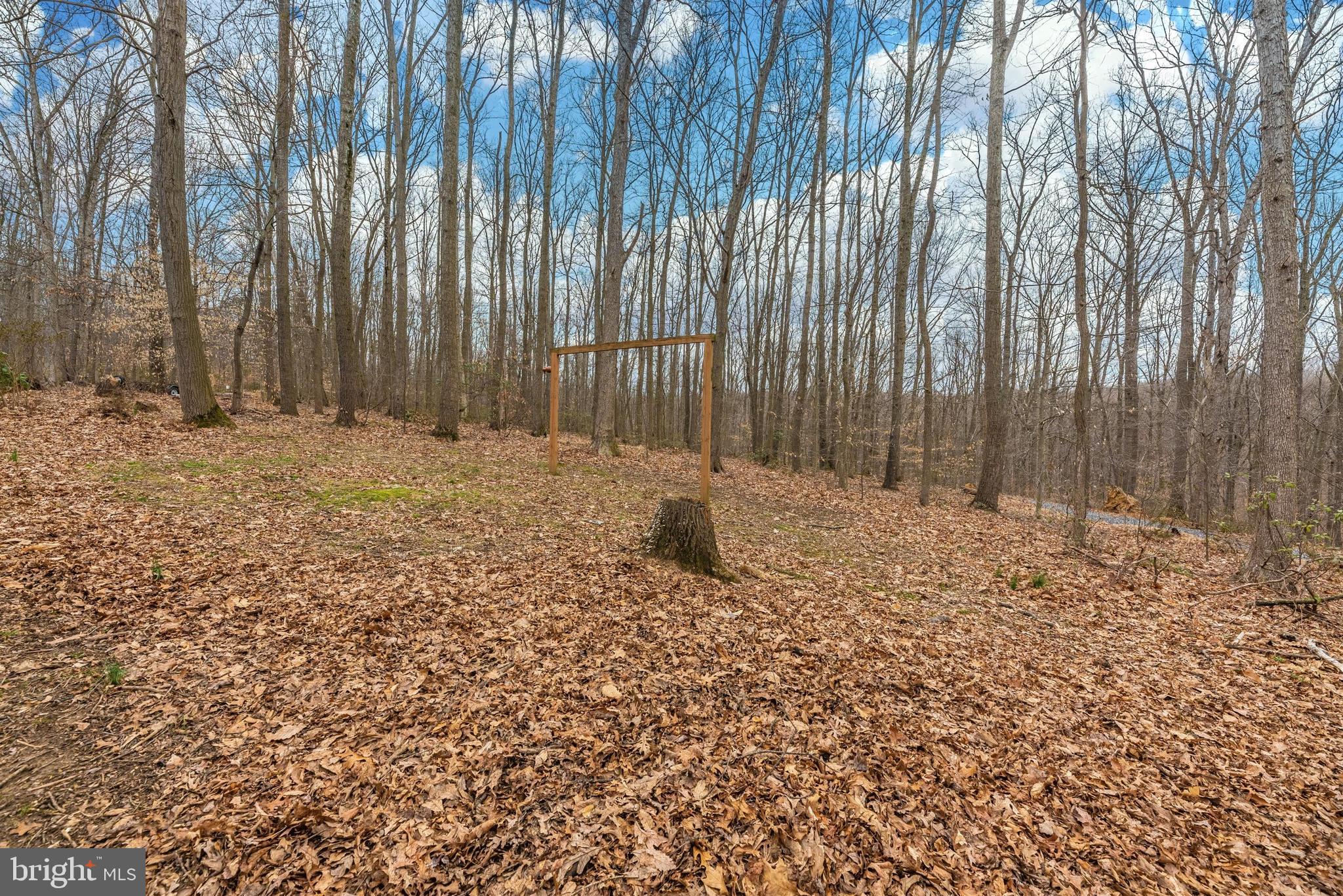 3718 Basford Road Frederick, MD 21703 - Photo 41 of 49 How about this view?