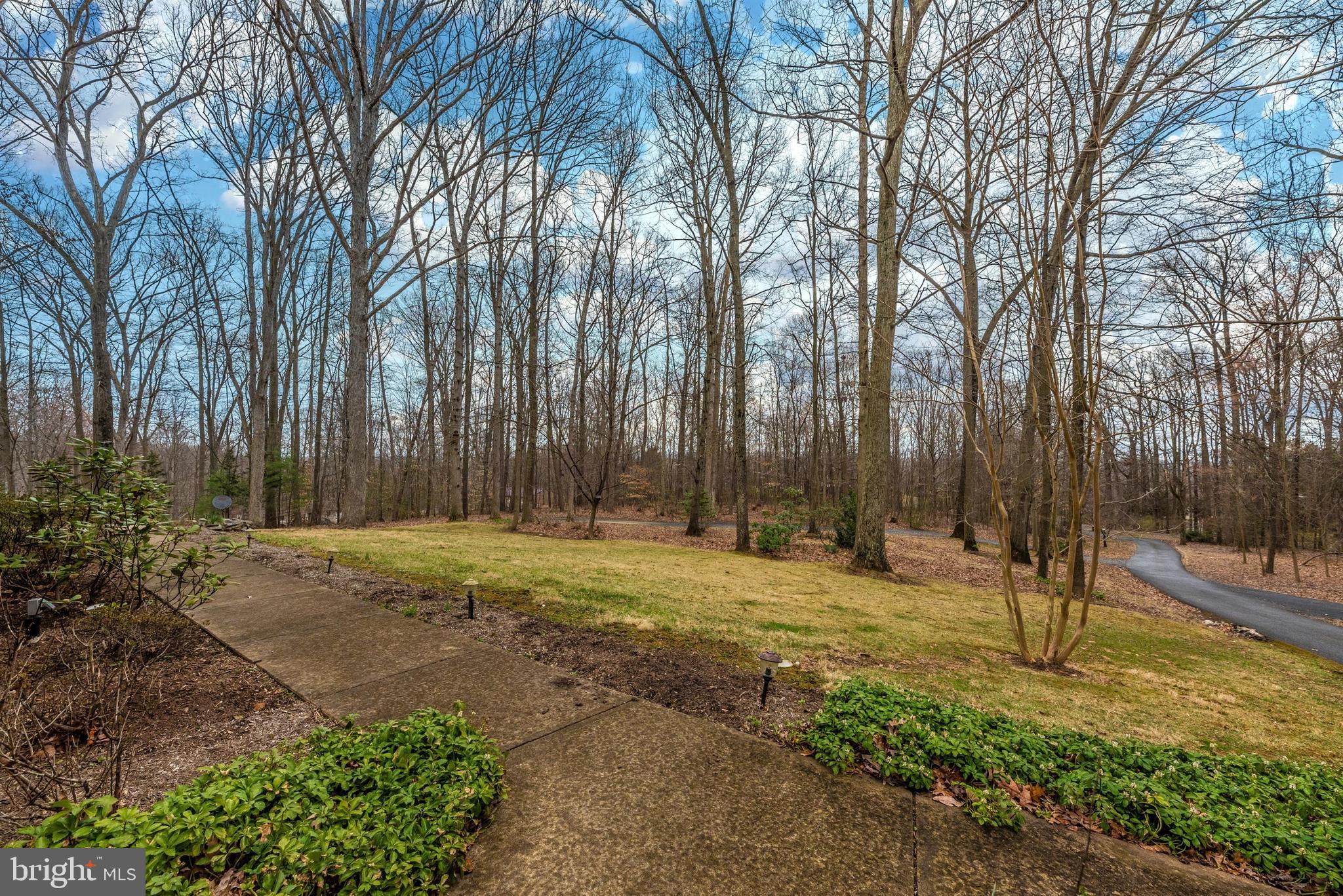 3718 Basford Road Frederick, MD 21703 - Photo 45 of 49 Peering Down the Driveway
