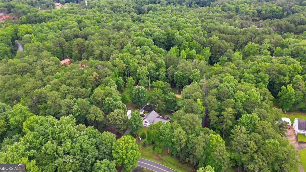 267 Joe Cox Road Sharpsburg, GA 30277 - Photo 81 of 83