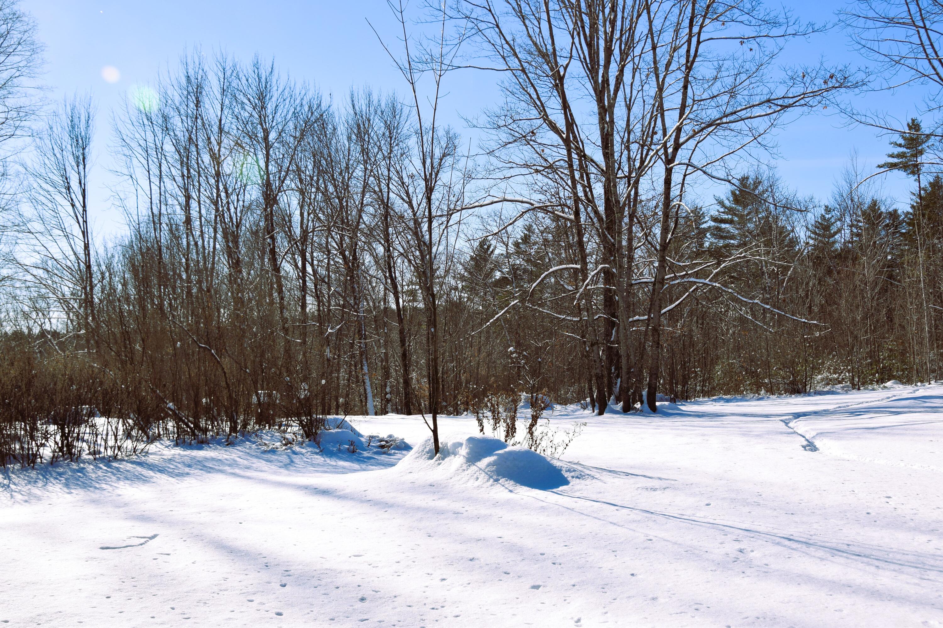 452 New Portland Road North Anson, ME 04958 - Photo 51 of 78 DSC_0004