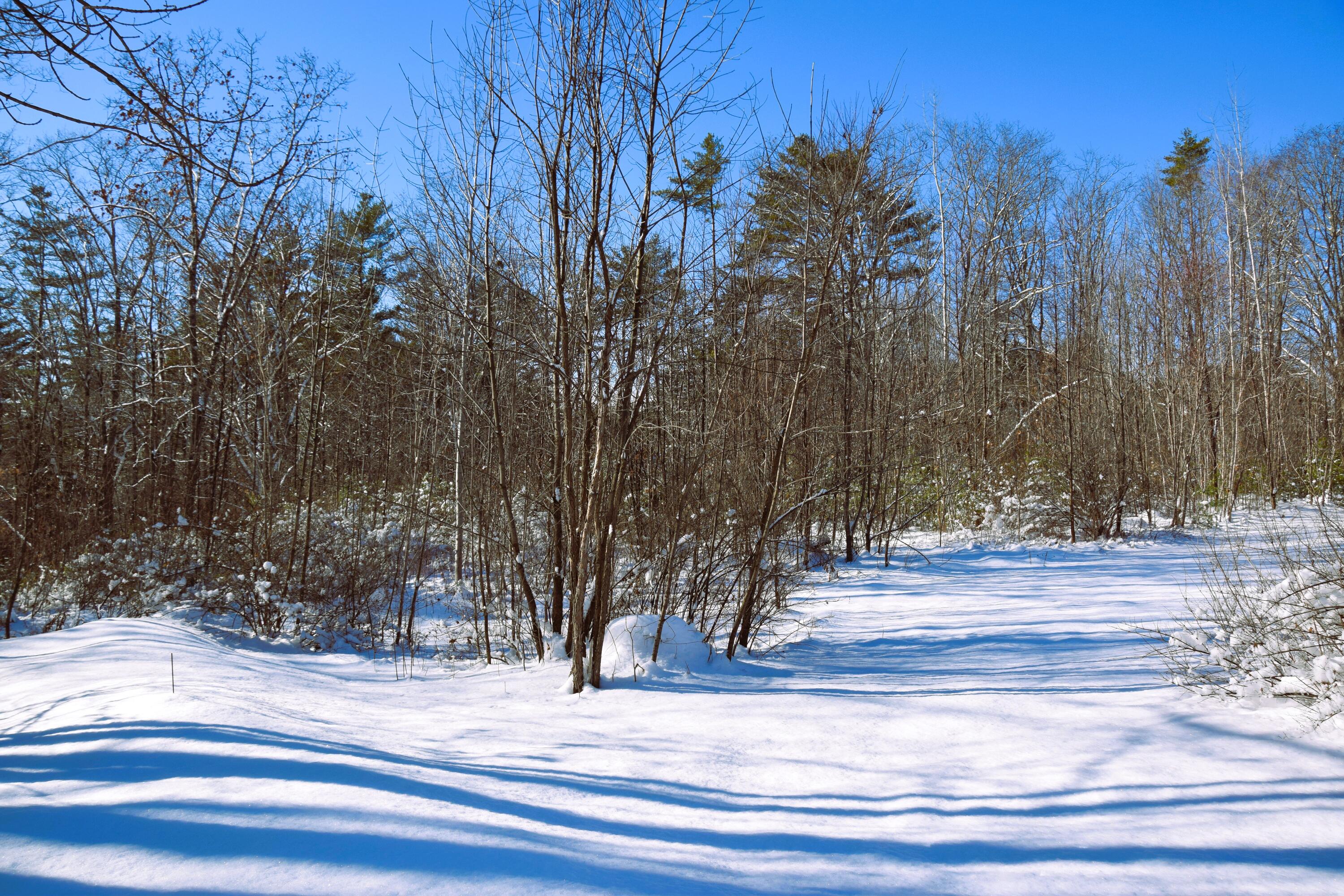 452 New Portland Road North Anson, ME 04958 - Photo 64 of 78 DSC_0008