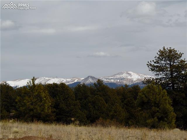 52 Doe Valley Road Guffey, CO 80820 - Photo 16 of 20 Gallery Image 16