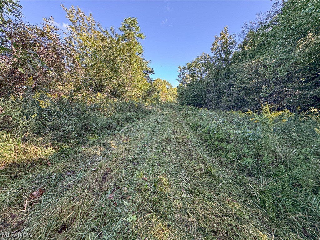 0 Southeast Kleski Road Tippecanoe, OH 44699 - Photo 27 of 33 Gallery Image 27