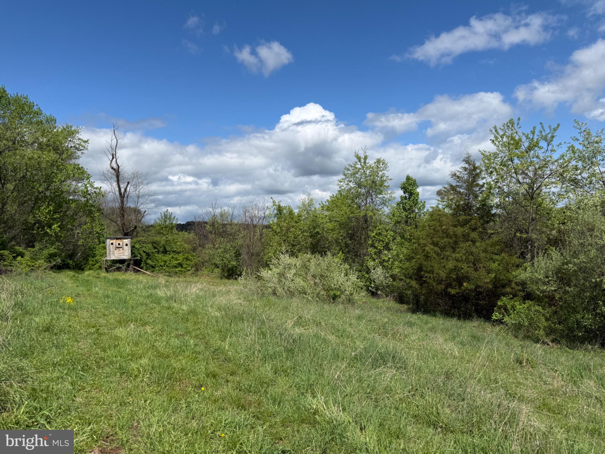 0 Creek Road Shermans Dale, PA 17090 - Photo 5 of 14 Serene landscape under a blue sky.