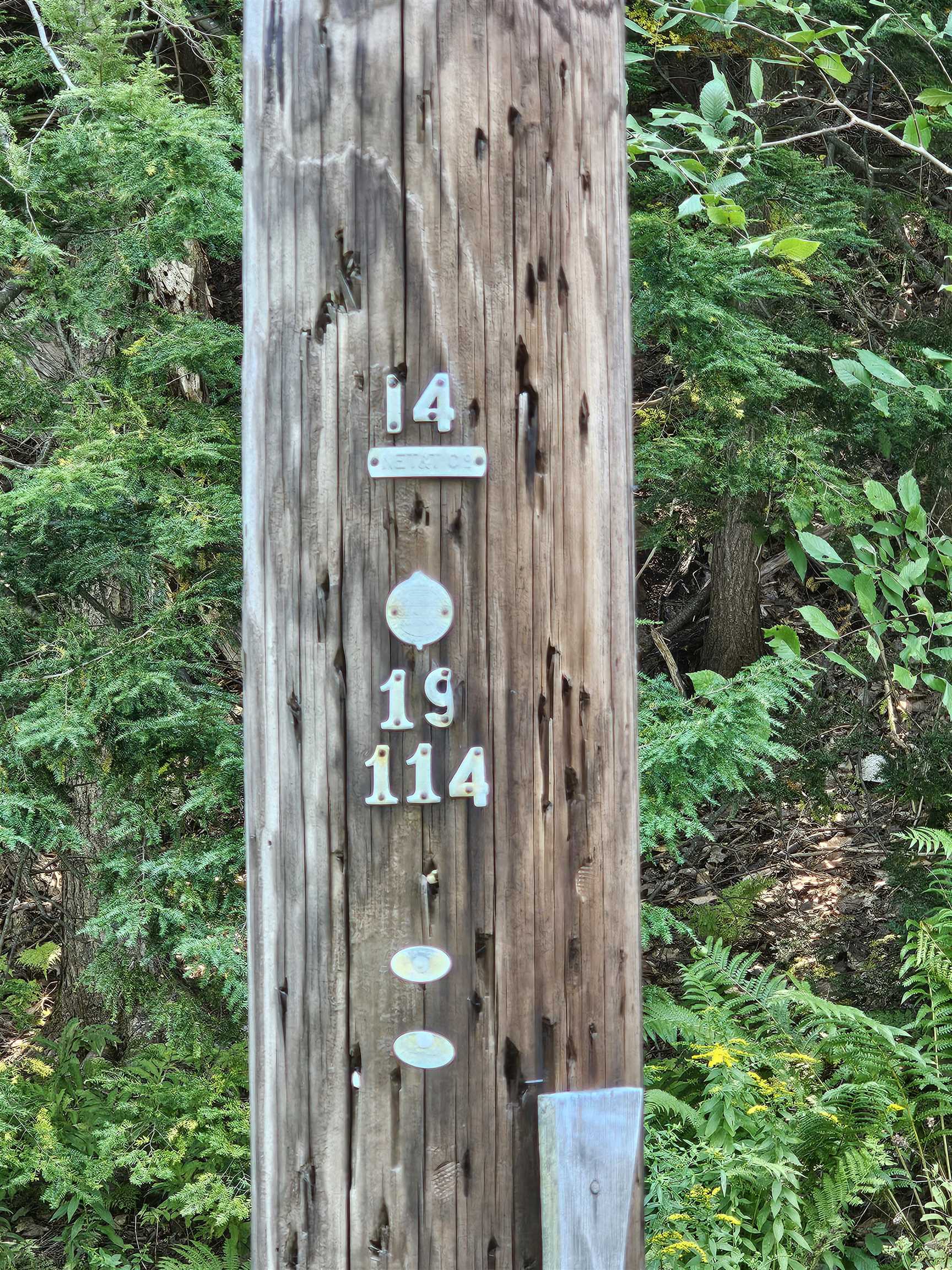 119 Cherry Valley Road Gilford, NH 03249 - Photo 11 of 16