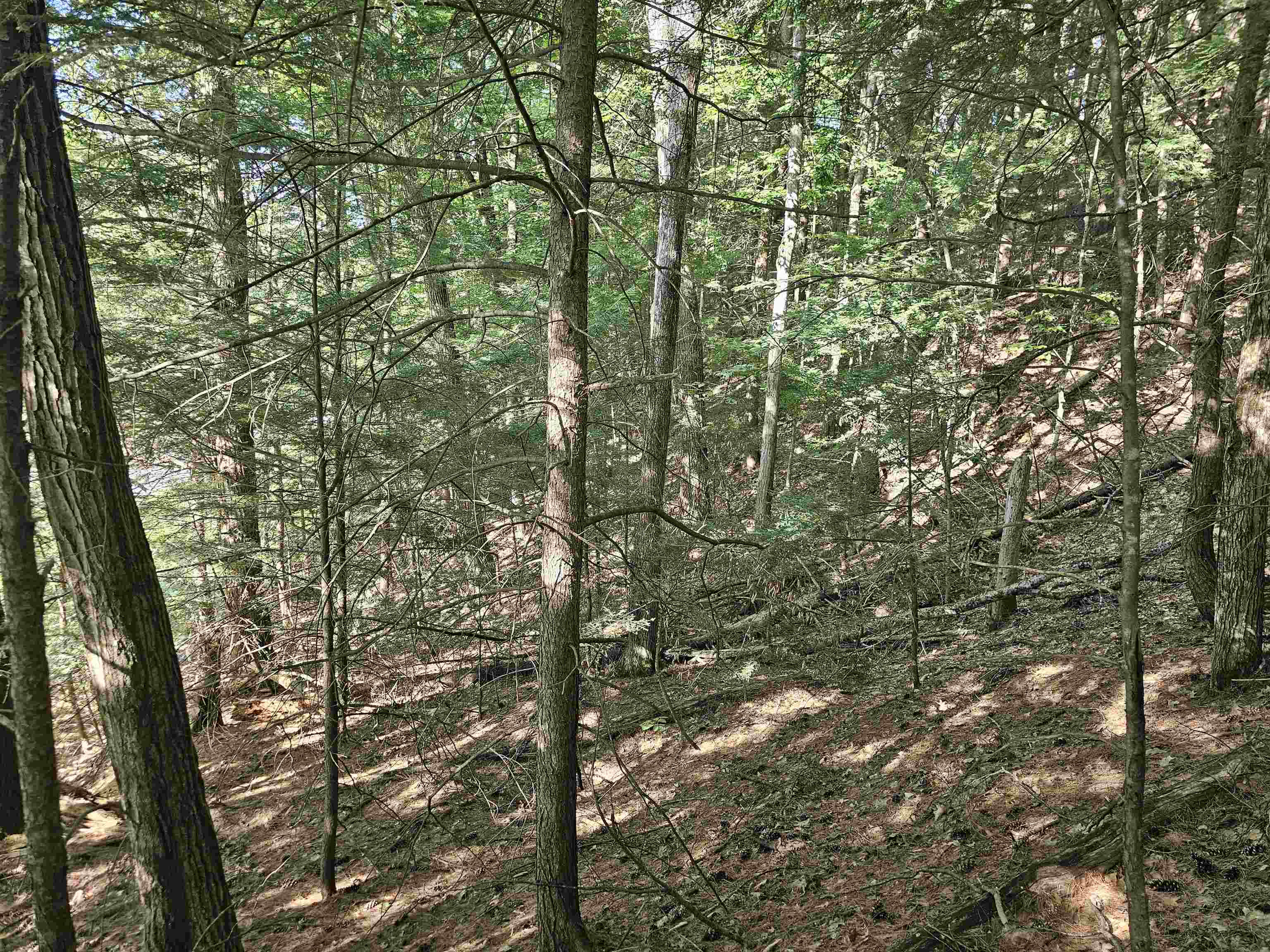 119 Cherry Valley Road Gilford, NH 03249 - Photo 5 of 16