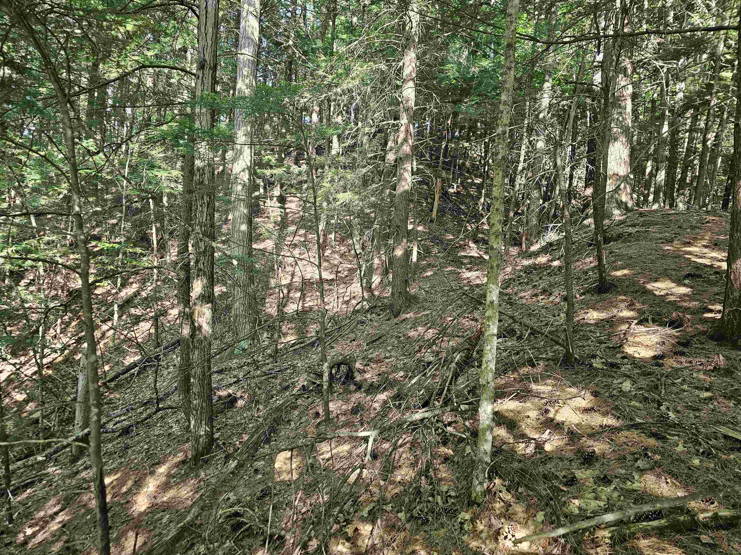 119 Cherry Valley Road Gilford, NH 03249 - Photo 6 of 16