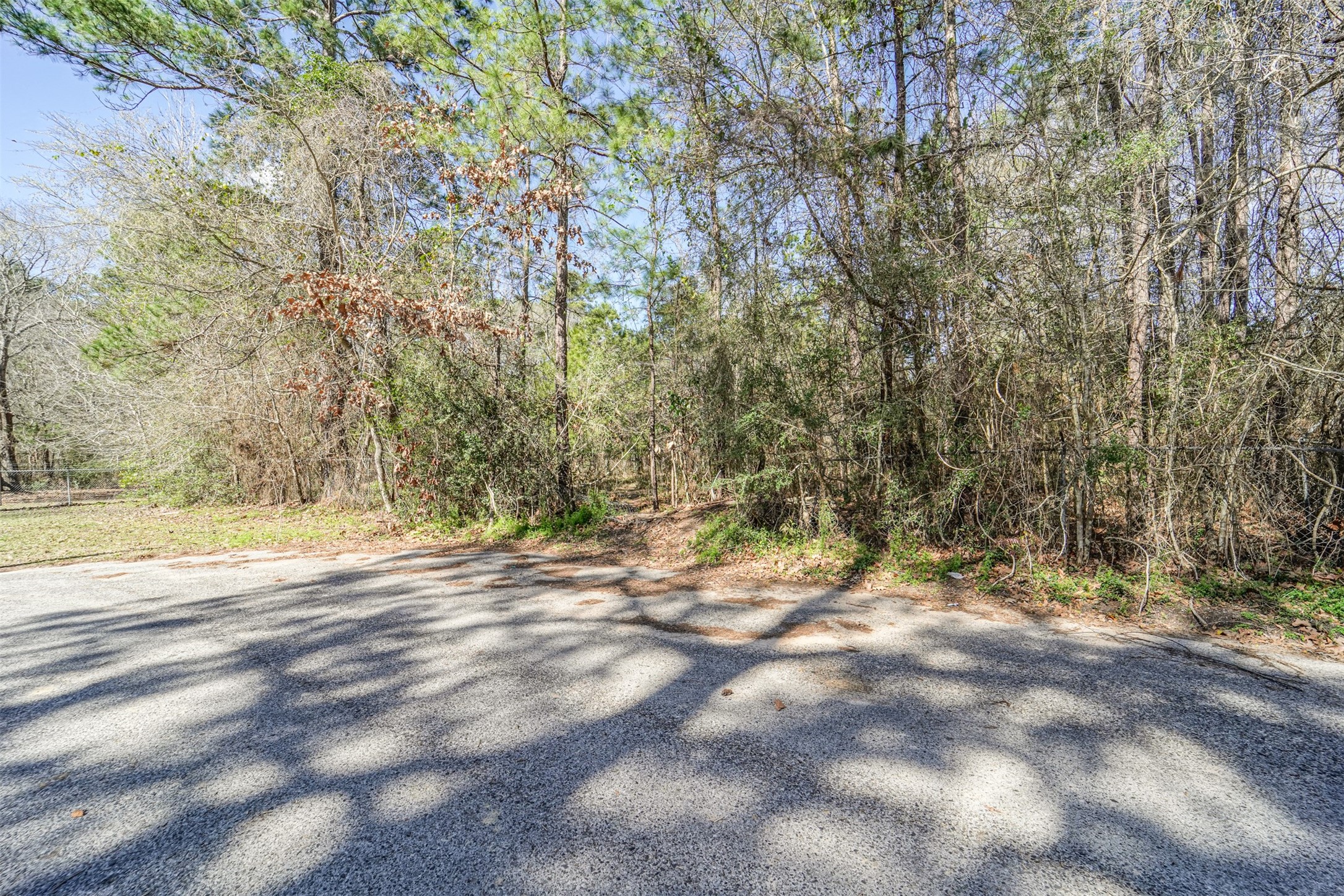 0 Holder Rambo Drive Huffman, TX 77336 - Photo 12 of 12 a view of a yard with a tree