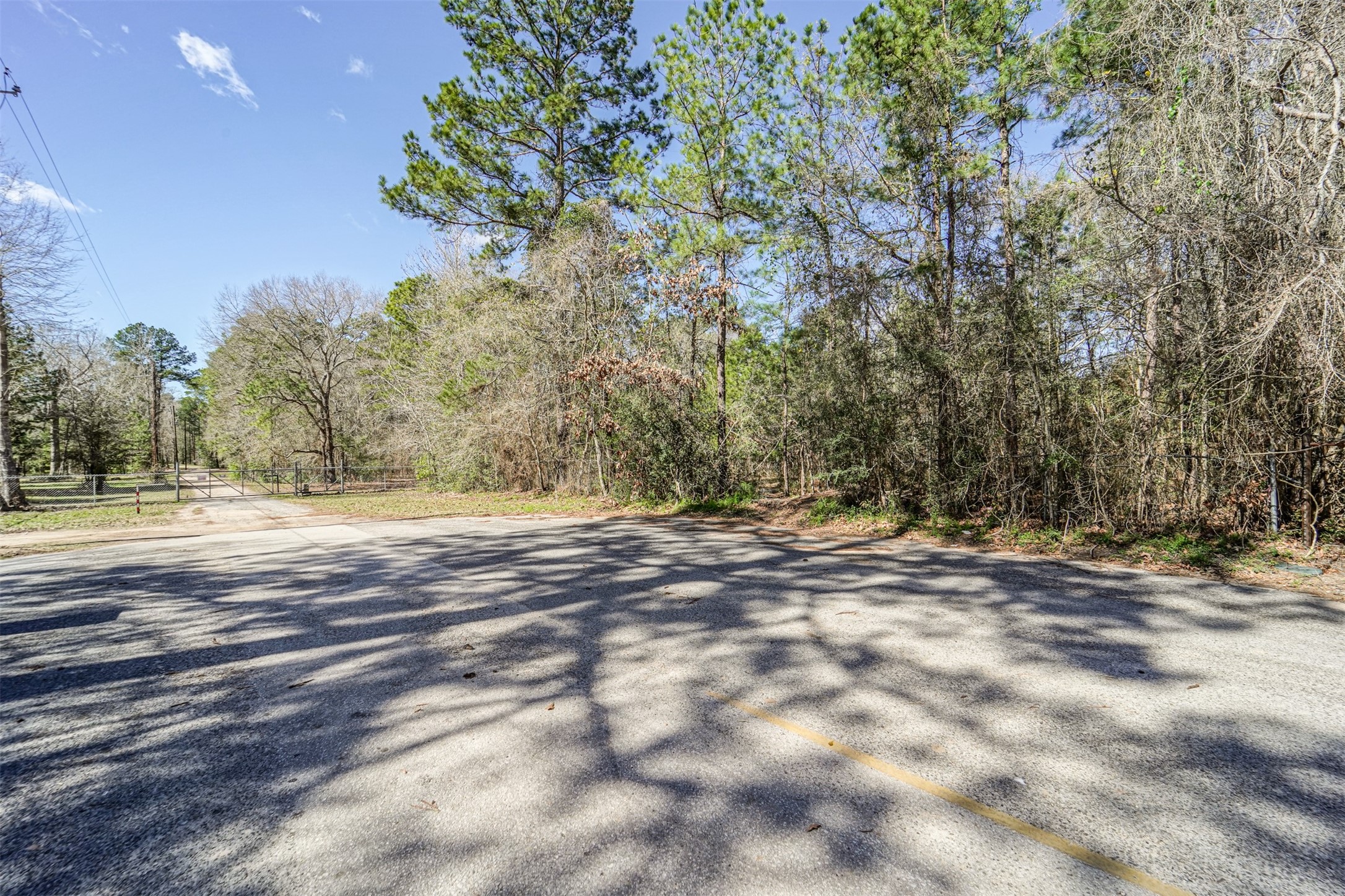 0 Holder Rambo Drive Huffman, TX 77336 - Photo 10 of 12 a view of dirt yard with a trees