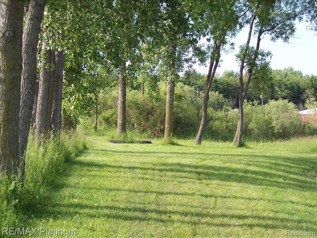 11259 North Owosso Road Fowlerville, MI 48836 - Photo 5 of 25 PICNIC-IN-PRIVATE