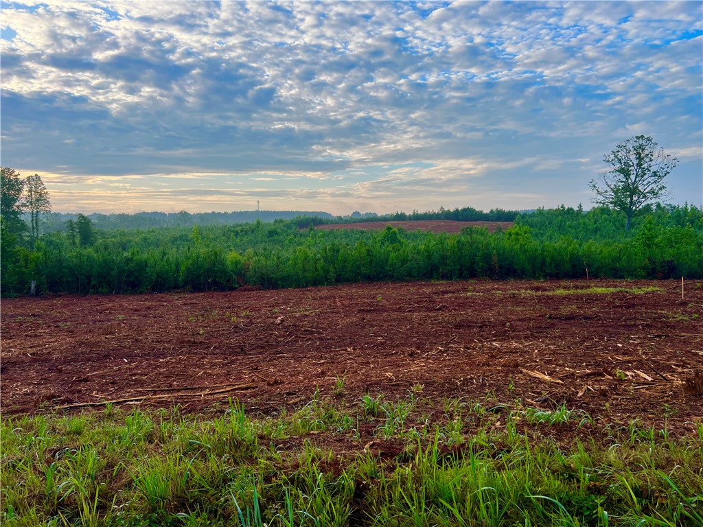 Lot 10 Pickens Drive Pendleton, SC 29670 - Photo 2 of 6