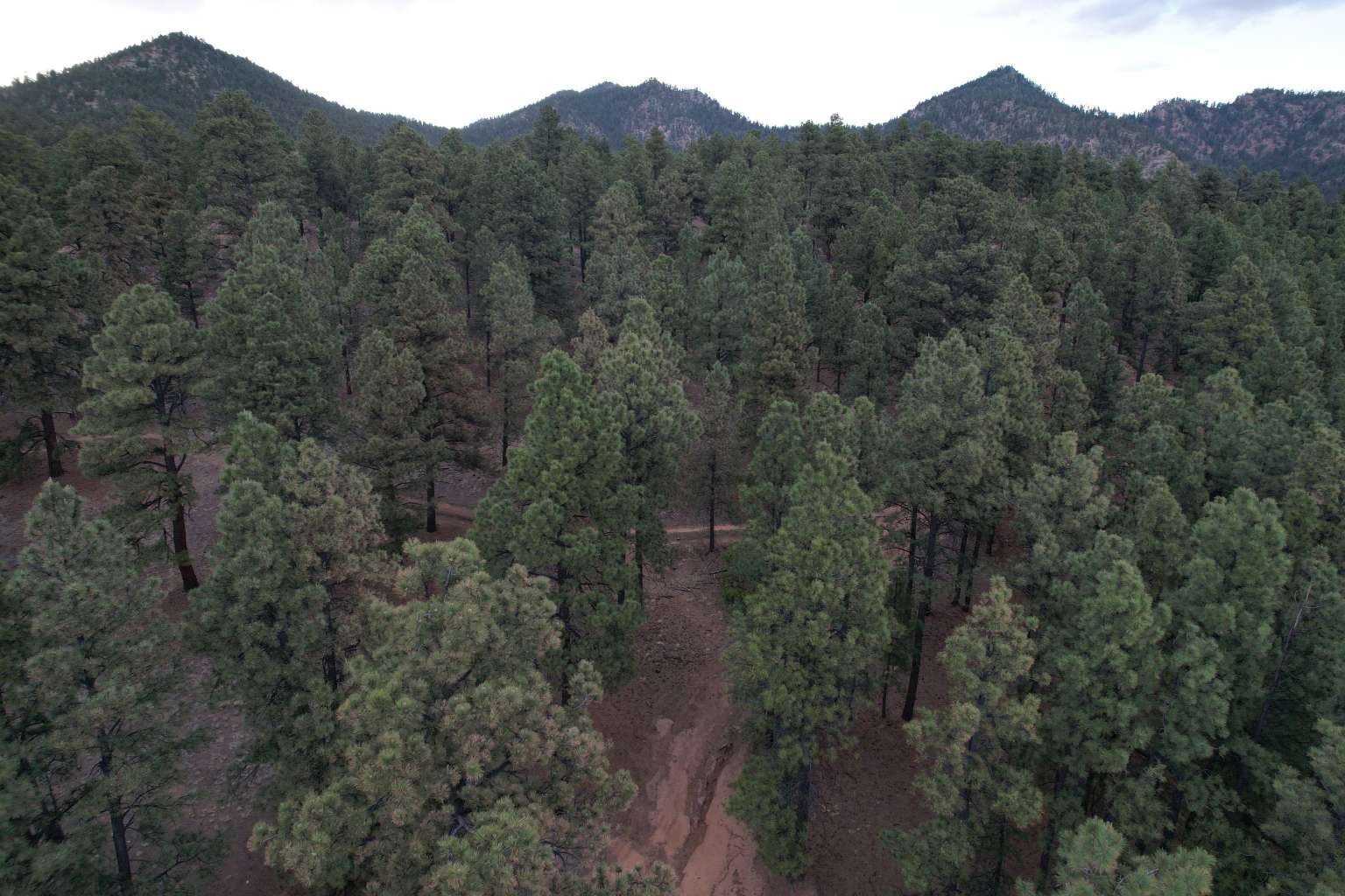 0 A015 County Road Mora, NM 87732 - Photo 11 of 40