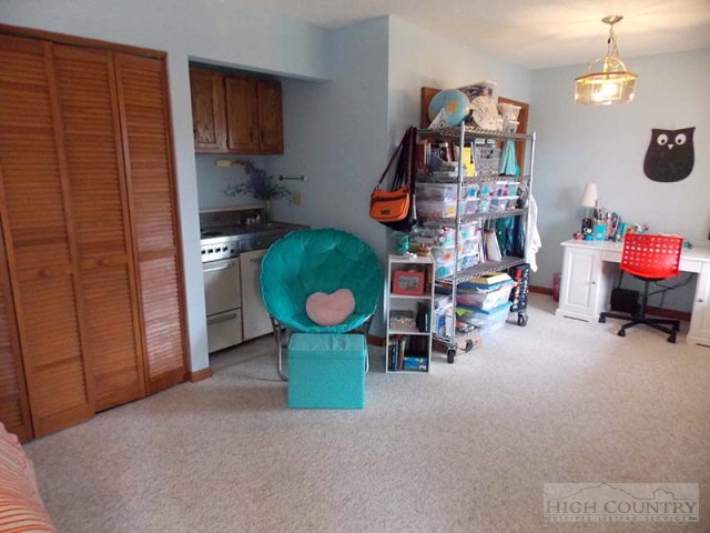 300 Ridgeview Road Sugar Mountain, NC 28604 - Photo 20 of 37 Gallery Image 20