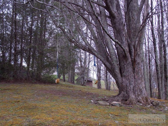 300 Ridgeview Road Sugar Mountain, NC 28604 - Photo 26 of 37 Gallery Image 26