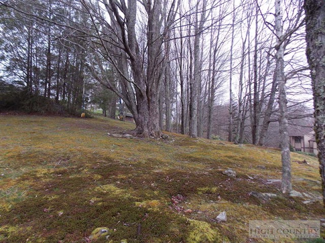 300 Ridgeview Road Sugar Mountain, NC 28604 - Photo 28 of 37 Gallery Image 28
