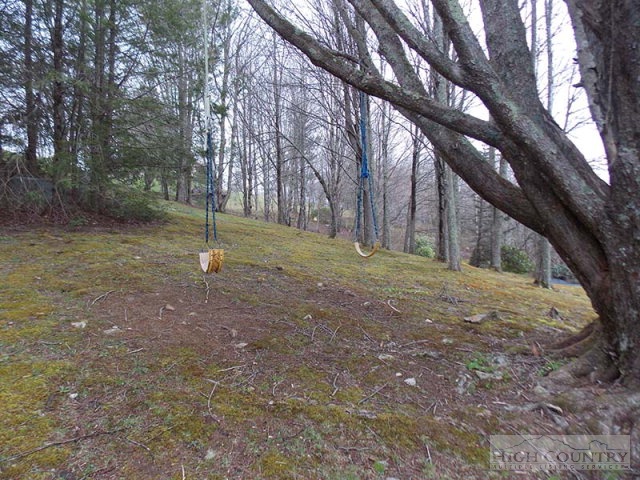 300 Ridgeview Road Sugar Mountain, NC 28604 - Photo 29 of 37 Gallery Image 29