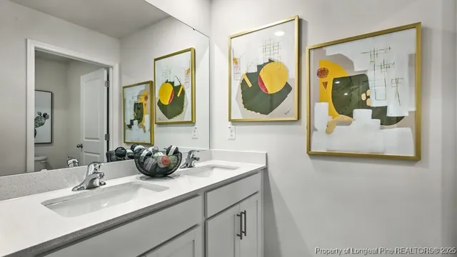 a bathroom with a sink mirror and vanity
