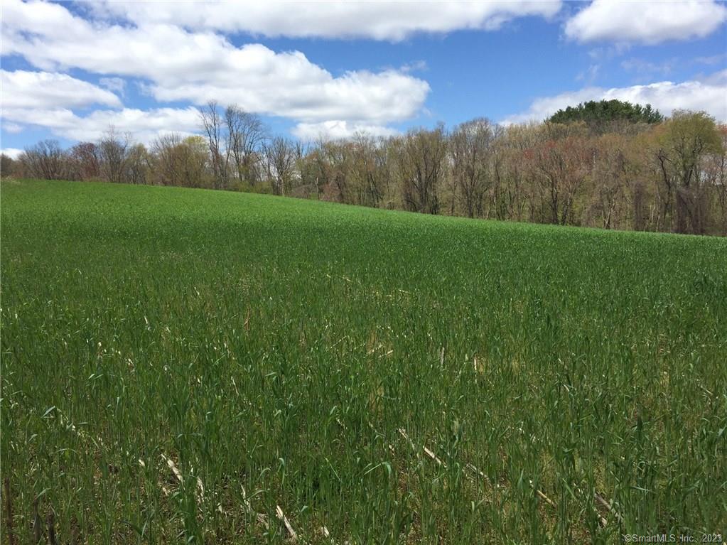 50 Harrisville Road Pomfret, CT 06259 - Photo 1 of 1