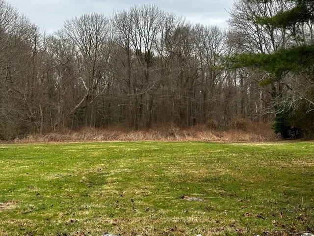 a view of a field of grass and trees
