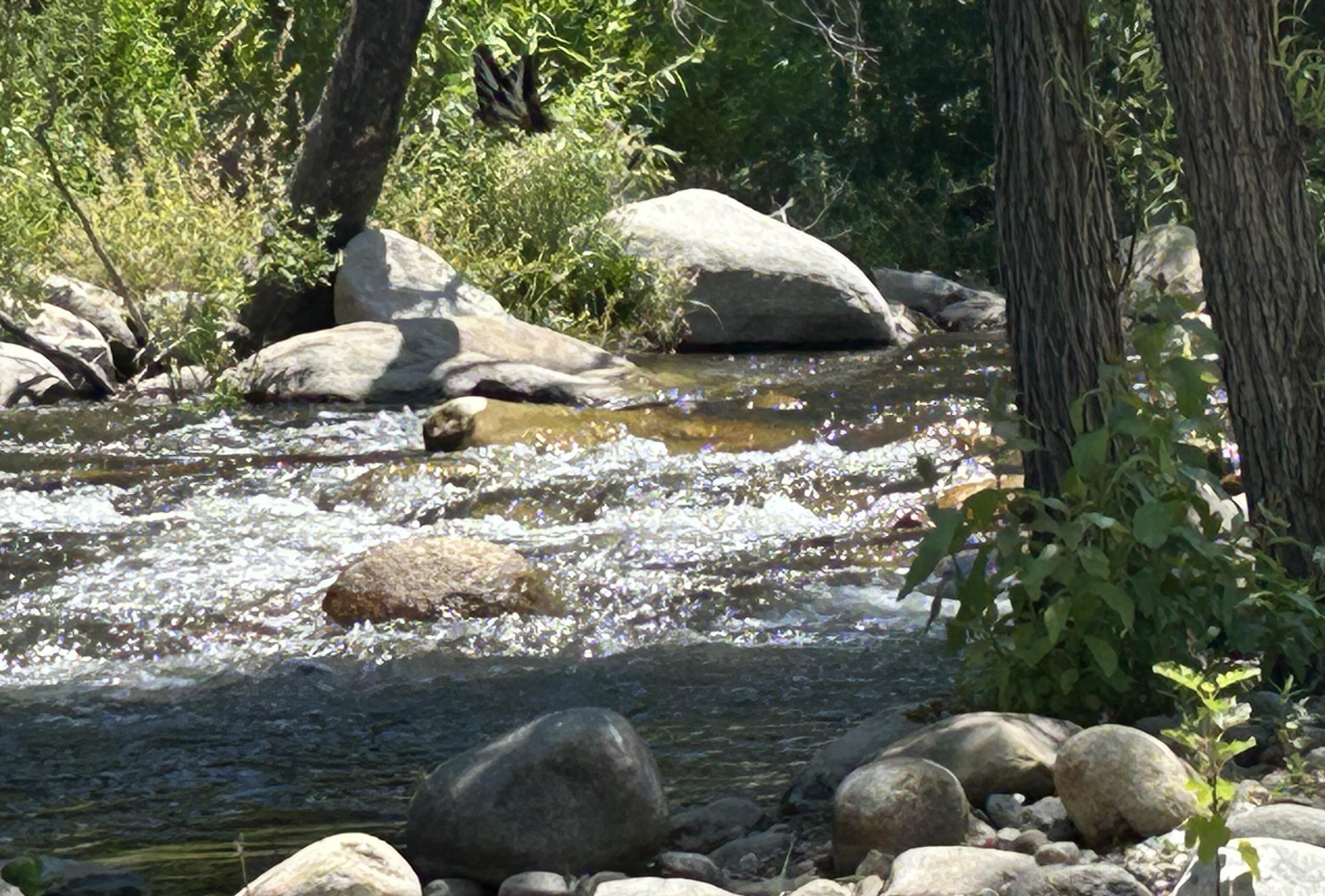 44575 South Fork Drive Three Rivers, CA 93271 - Photo 59 of 59 Highlights test! Can you find it?