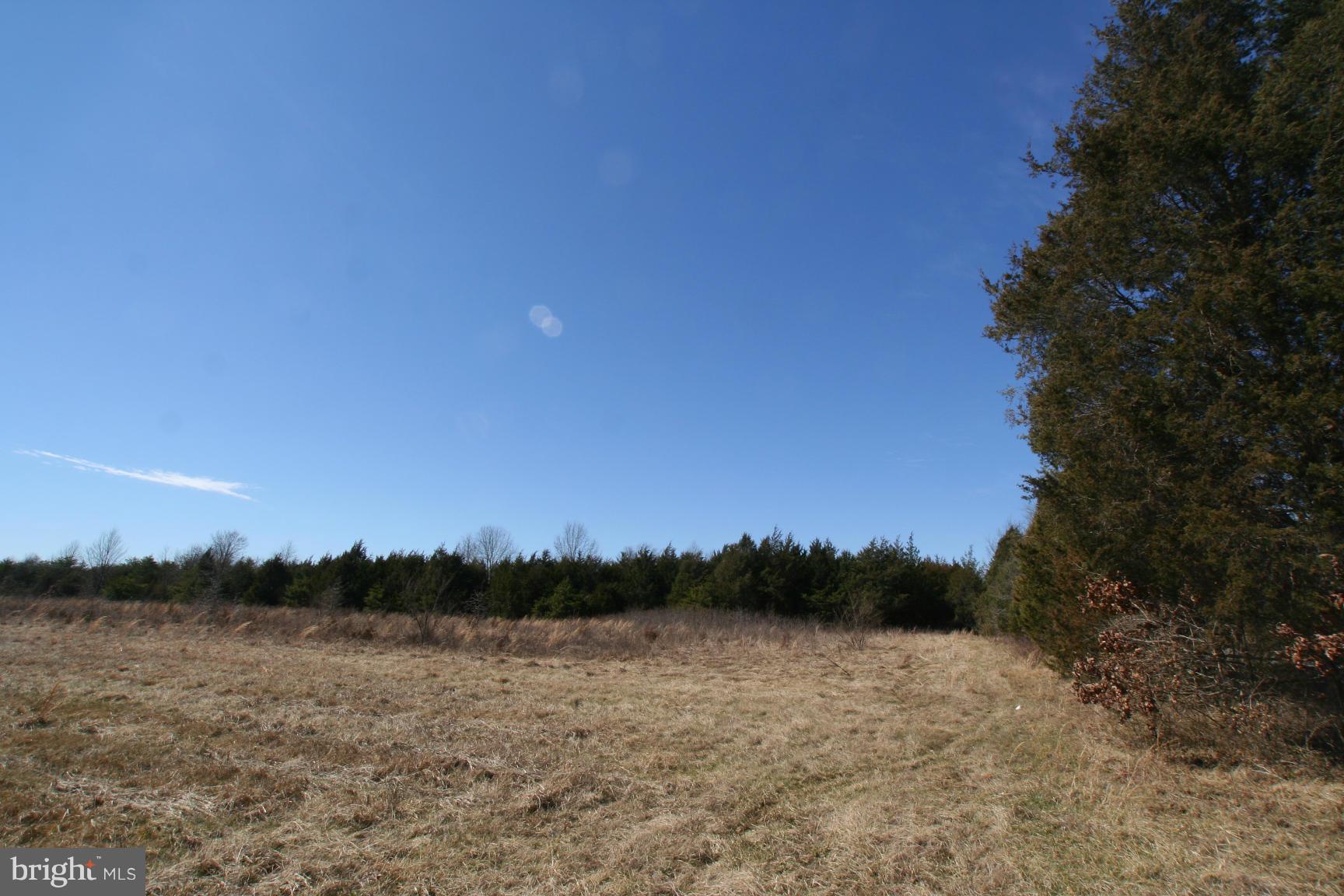 1 Sowego Road Catlett, VA 20119 - Photo 2 of 8 View