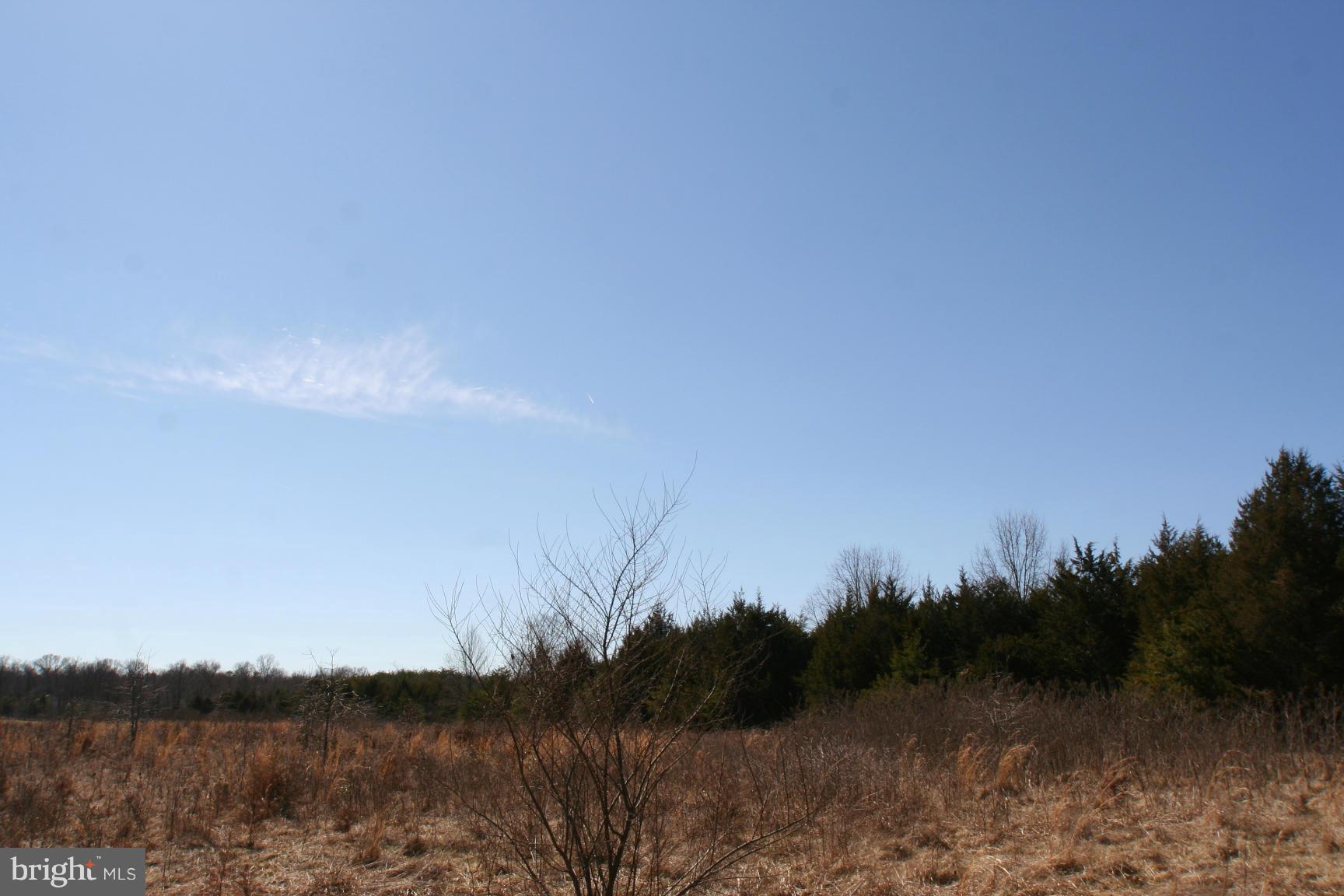 1 Sowego Road Catlett, VA 20119 - Photo 3 of 8 View
