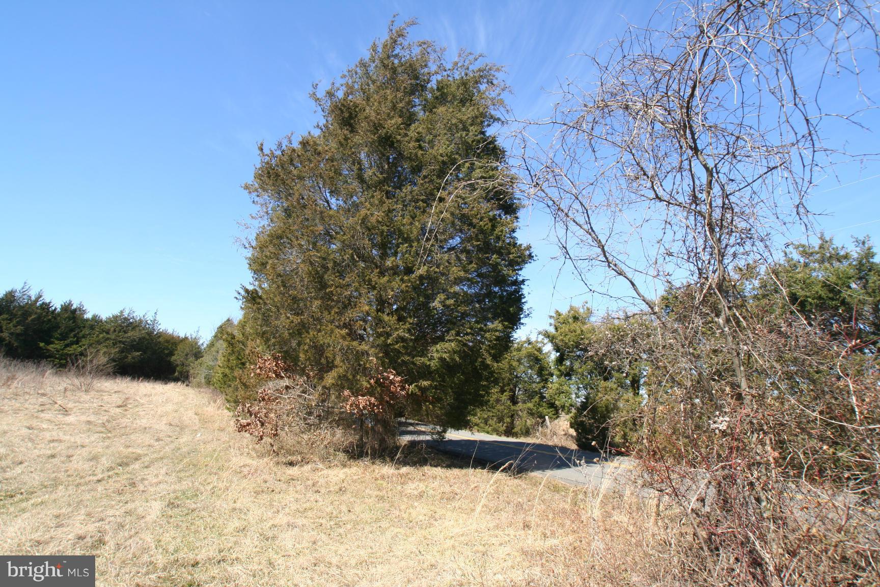 1 Sowego Road Catlett, VA 20119 - Photo 5 of 8 View