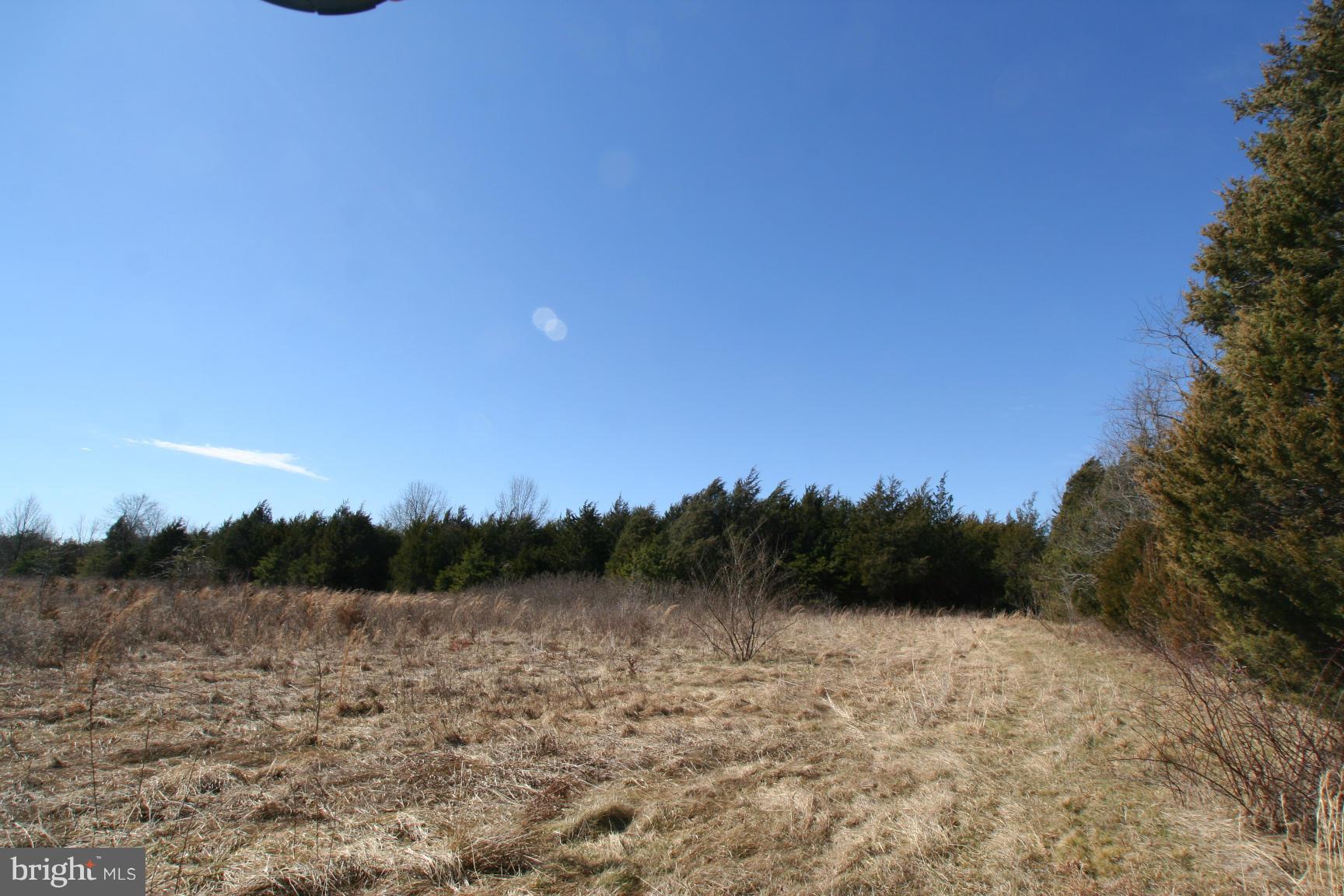 1 Sowego Road Catlett, VA 20119 - Photo 6 of 8 View