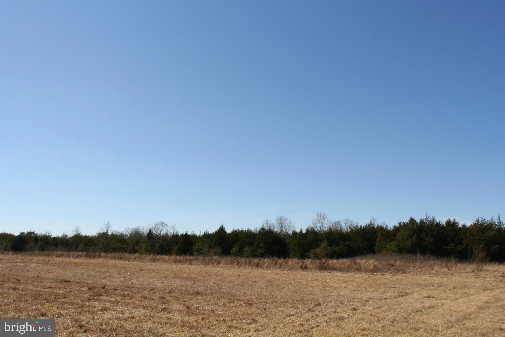 1 Sowego Road Catlett, VA 20119 - Photo 7 of 8 View