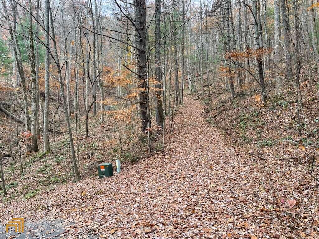 3 White Oak Forest Road Hiawassee, GA 30546 - Photo 1 of 1 Gallery Image 1