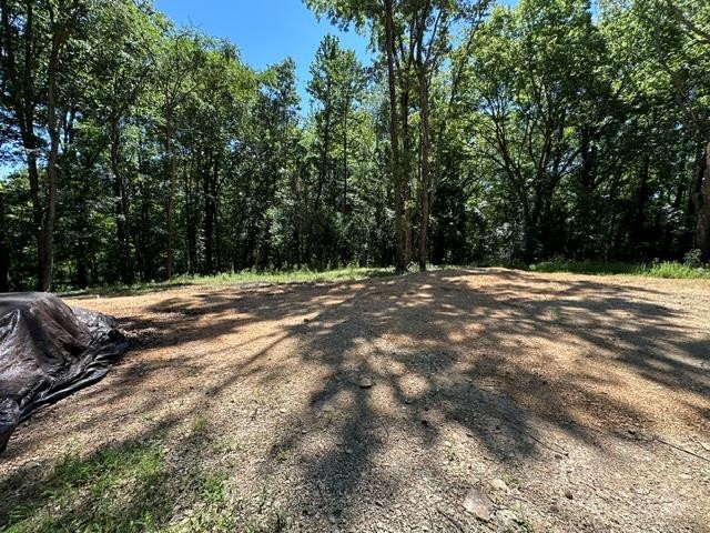 684 Eva Flatwoods Road Eva, TN 38333 - Photo 43 of 43