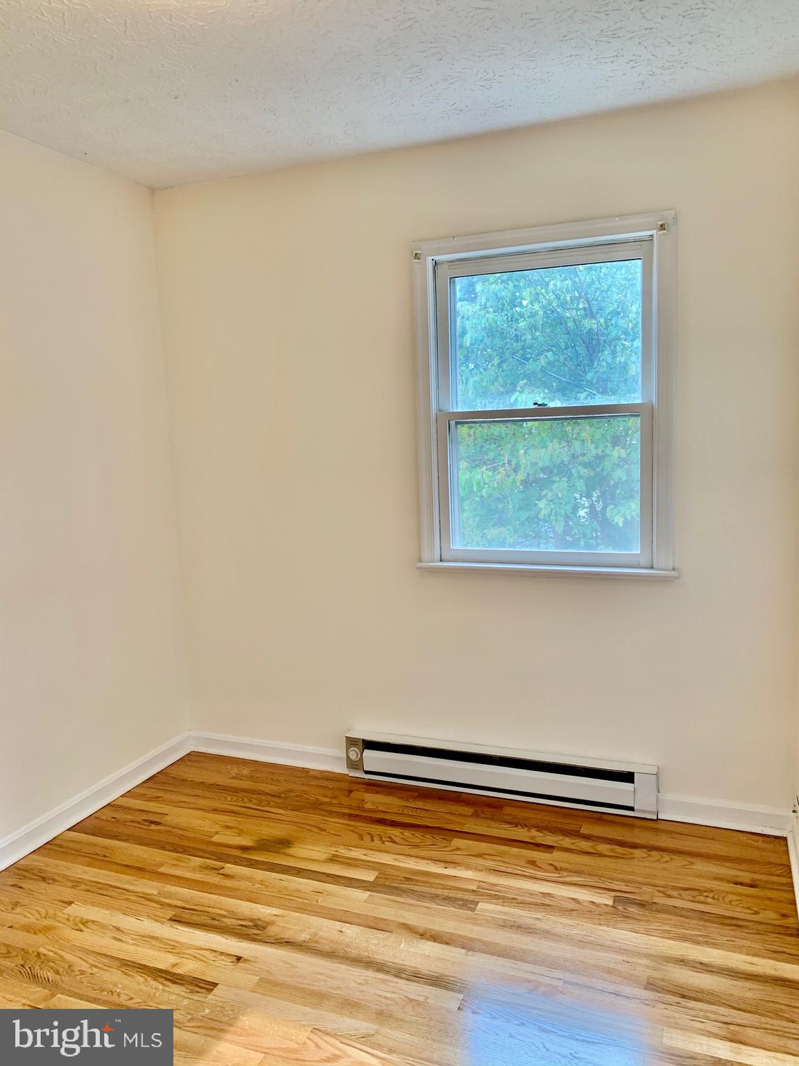 301 Brunswick Road Stephens City, VA 22655 - Photo 17 of 20 Bedroom 2