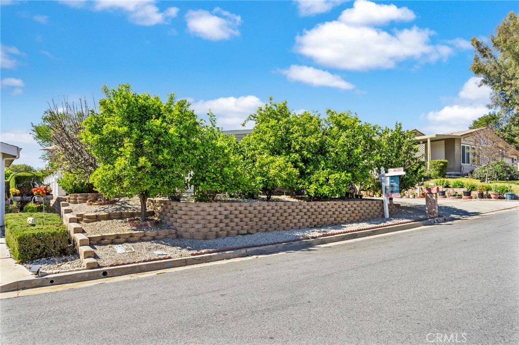 9679 Rosedale Drive Calimesa, CA 92320 - Photo 3 of 39