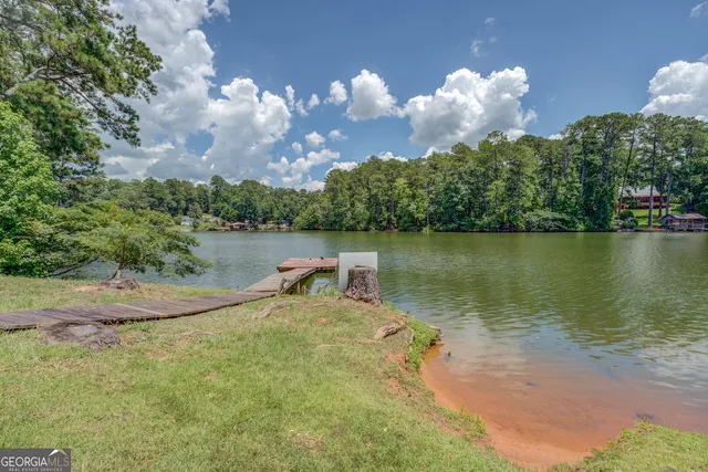 a view of a lake in middle of the forest