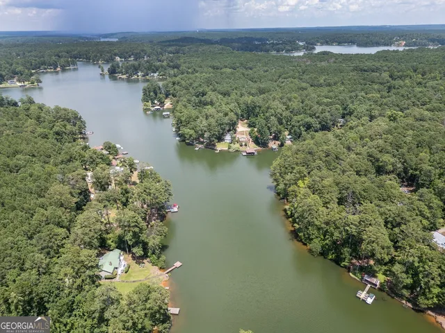 a view of a lake with a mountain in the background