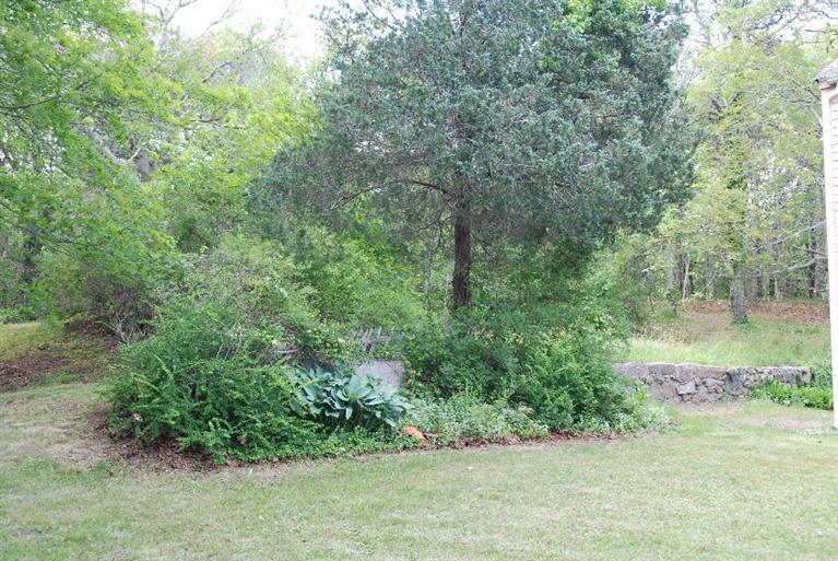 1276 County Road Cataumet, MA 02534 - Photo 14 of 15 a view of a lush green forest with lots of trees