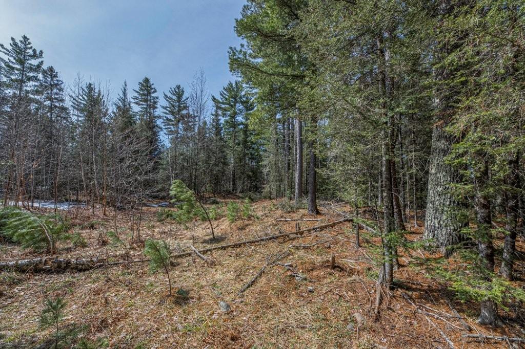 Off Natural Springs Road Presque Isle, WI 54557 - Photo 18 of 27 Gallery Image 18