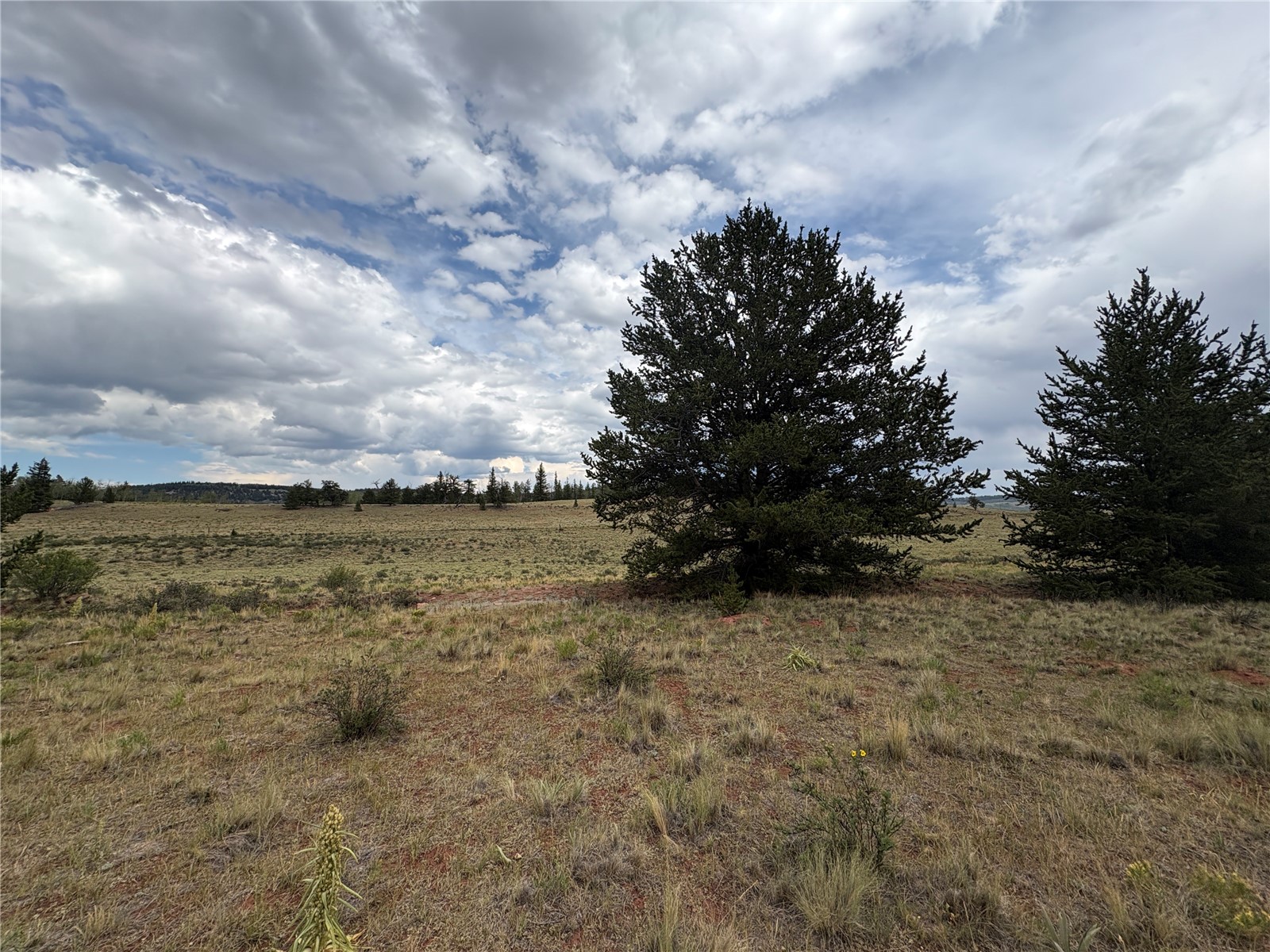 1344 Silver Heels Road Fairplay, CO 80440 - Photo 16 of 31 Gallery Image 16