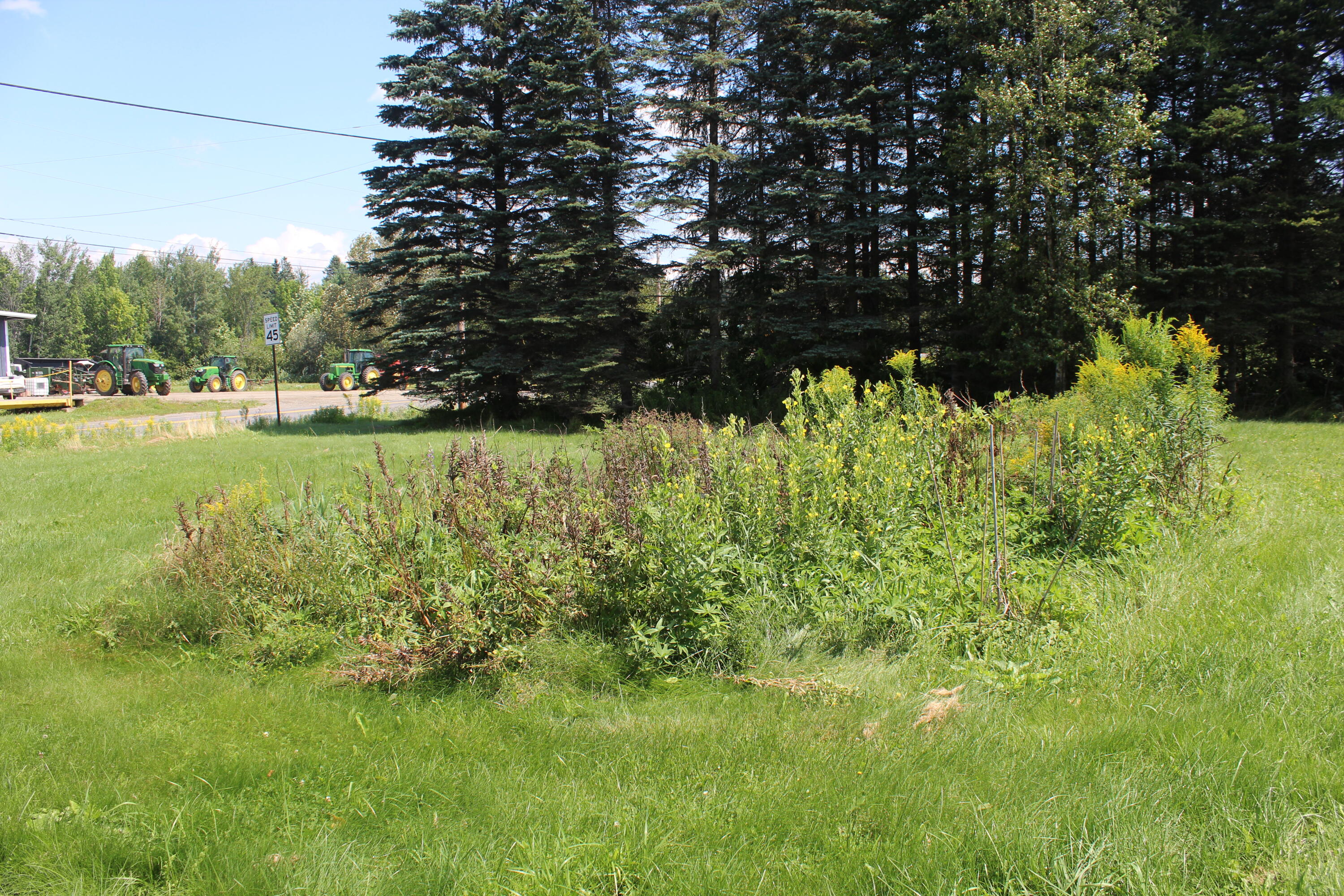 22 Crystal Road Crystal, ME 04747 - Photo 23 of 29 IMG_5421