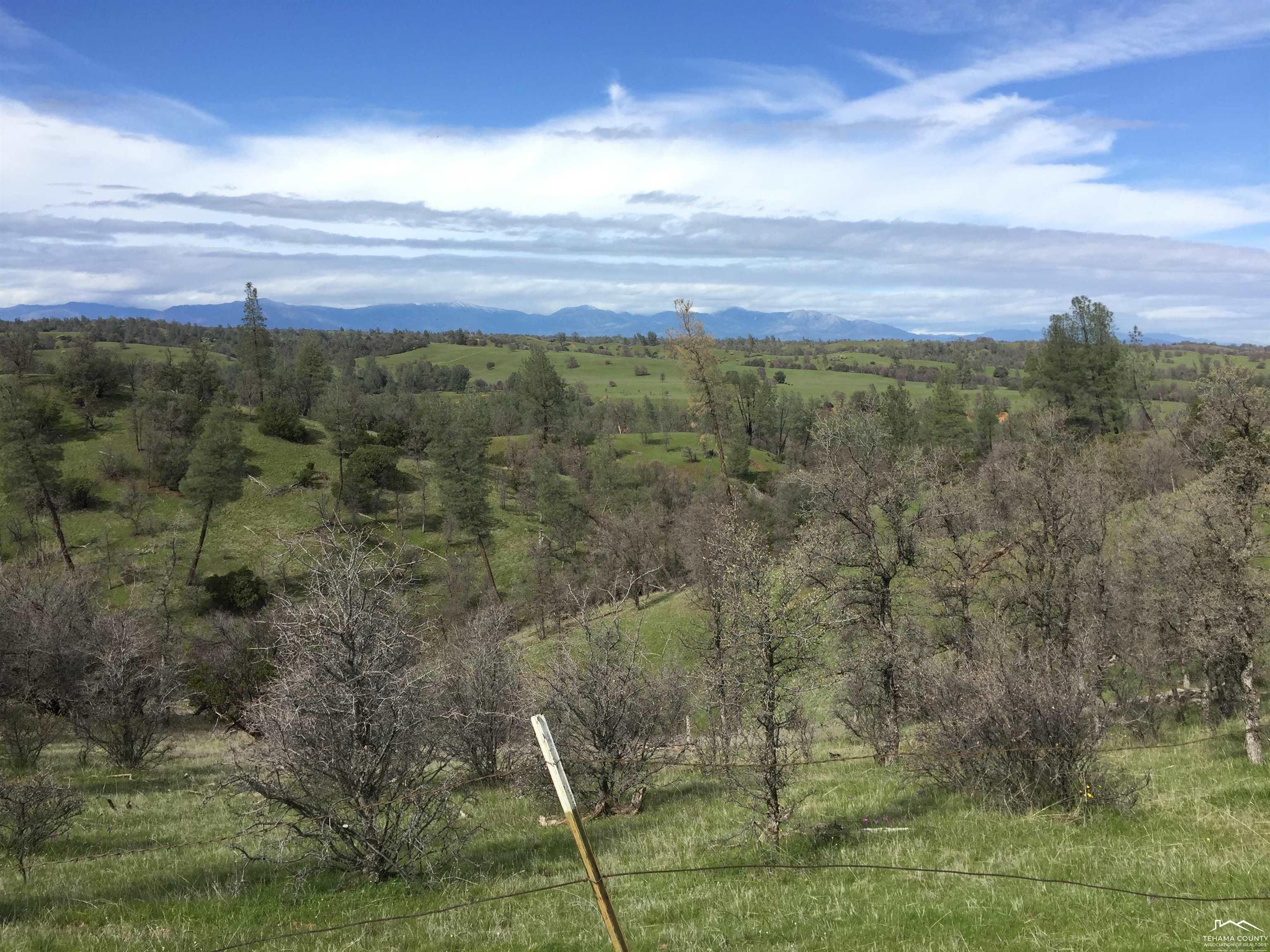 13555 Highway 36 Red Bluff, CA 96080 - Photo 19 of 27