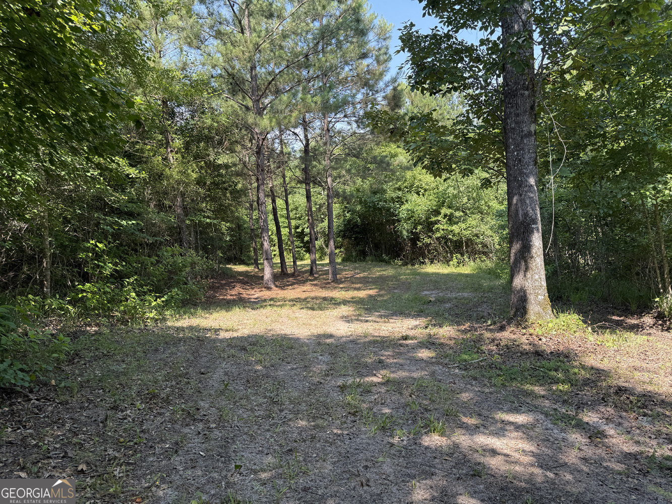 651 Branan Road Toomsboro, GA 31090 - Photo 1 of 53